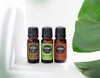 Patchouli- Dark, Peppermint and Guardian essential oils next to a monstera leaf