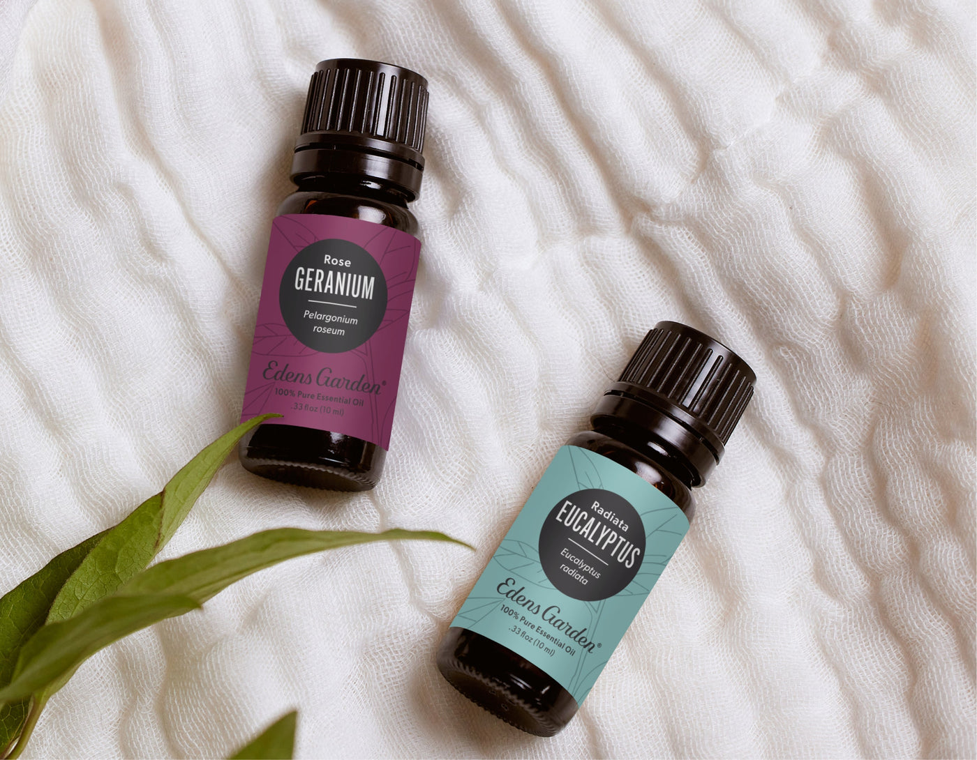 Understanding Top, Middle And Base Notes In Perfume | Edens Garden