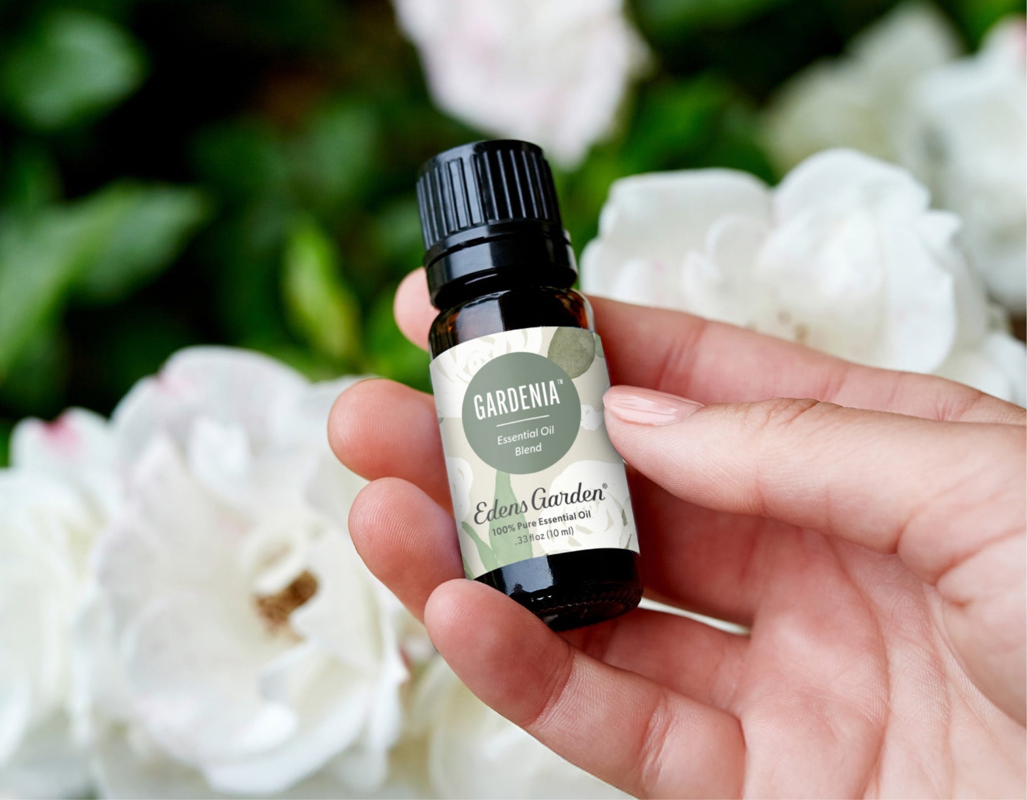 Fragrance Oil vs. Essential Oil