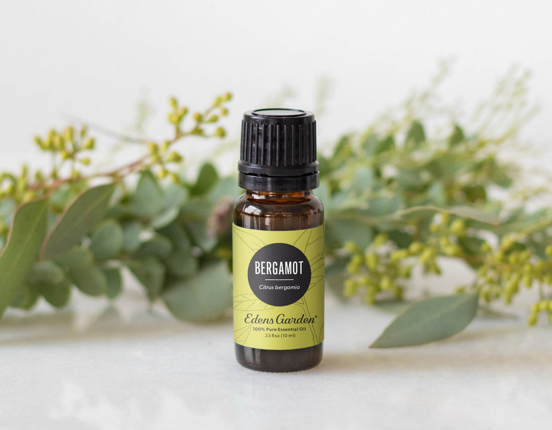 Bergamot Essential Oil Top Benefits and Uses