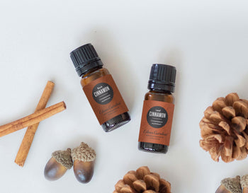 Cinnamon Essential Oil Cheat Sheet | Benefits, Uses & Safety