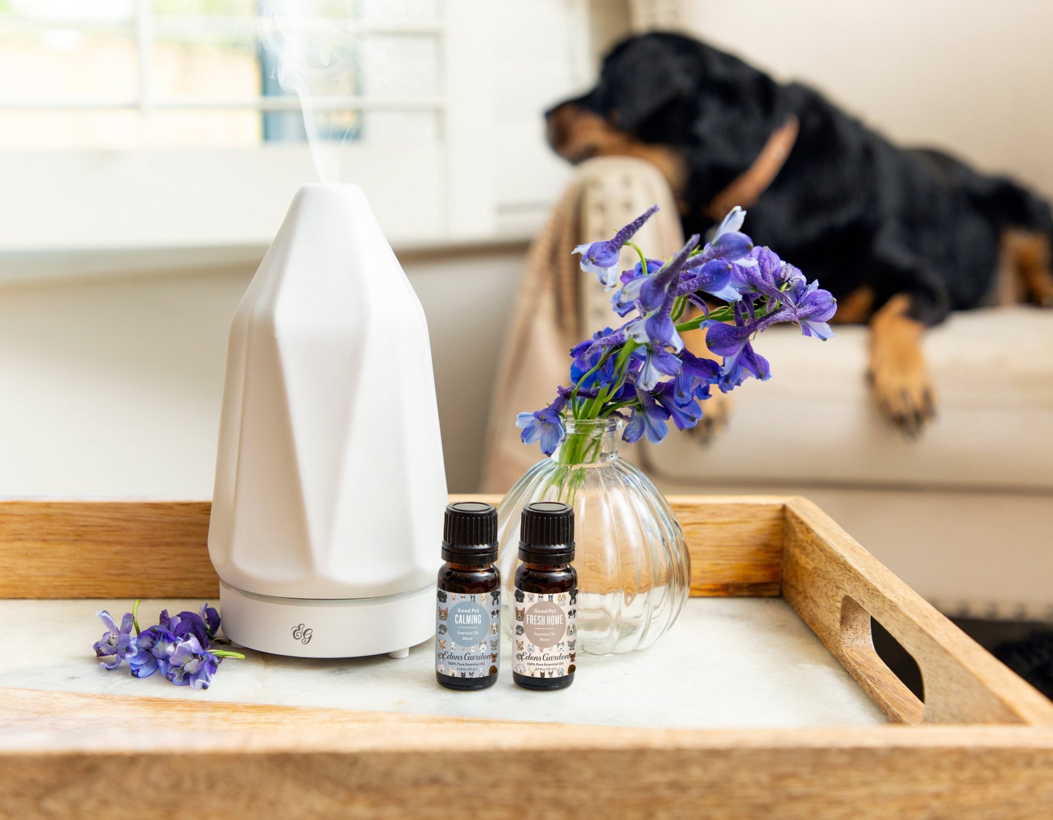 Good Pet | How To Use Aromatherapy Safely Around Your Pets