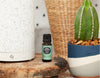 Breathe In The Goodness: Diffuse, Inhale, Repeat Essential Oil Blend