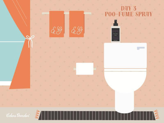 Diy Poo-Fume