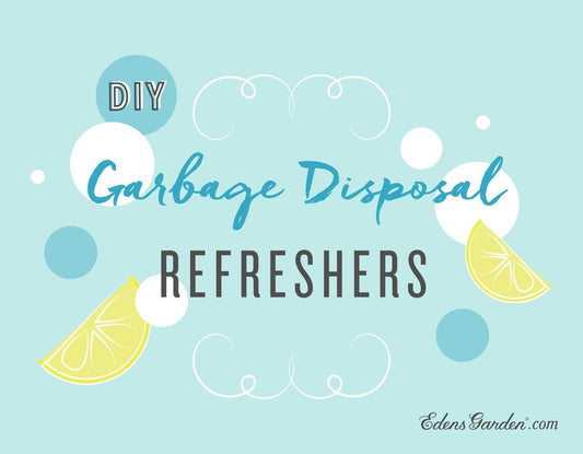 EG's Garbage Disposal Refreshers Diy