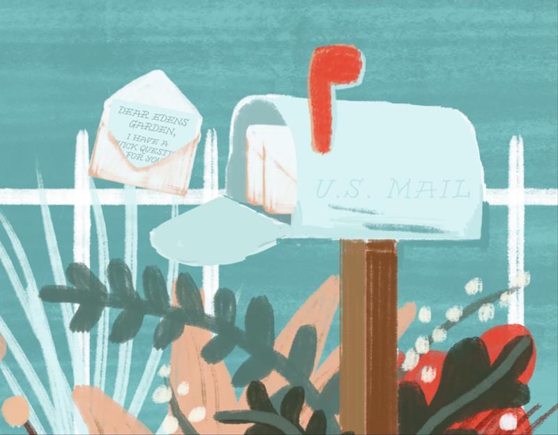 Dear EG, is Edens Garden an MLM Company?