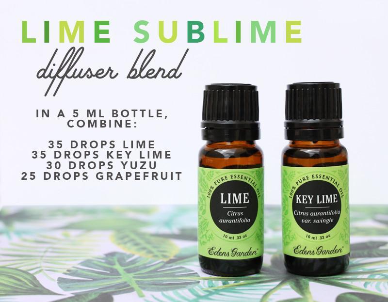 Diffuser Blend: Lime Sublime DIY