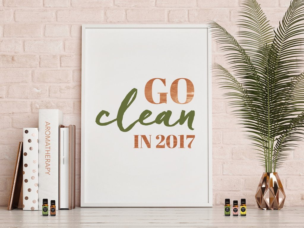 Go Clean Move It Challenge: Go Clean in 2017!