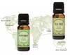 Go On An Adventure With Peppermint & Tea Tree Around The World Oils