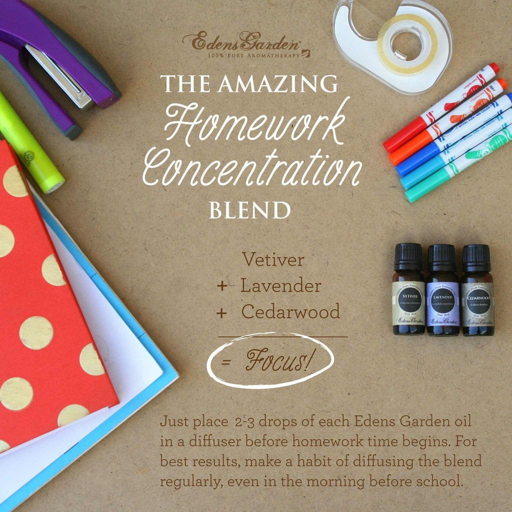 The Amazing Homework Concentration Blend - Essential Oils for Focus