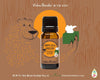 Diy Essential Oil Bear-Balm Using OK For Kids Sniffles & Sneezes
