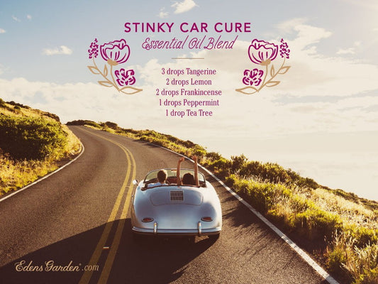 Stinky Car Cure Essential Oil Blend