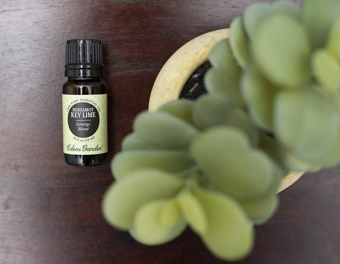 A Quick Look at EG's Single and Synergy Essential Oils