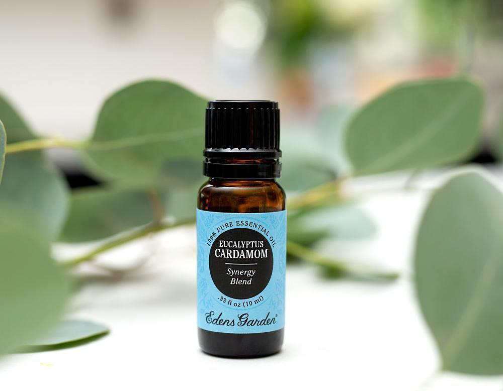 5 Reasons Why We're Obsessed With Eucalyptus Cardamom