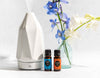This Or That: Essential Oil Blends for Wellness