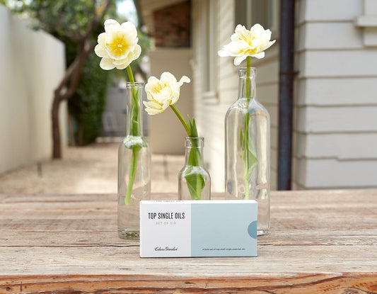 What’s in EG’s Top Single Essential Oils Set?