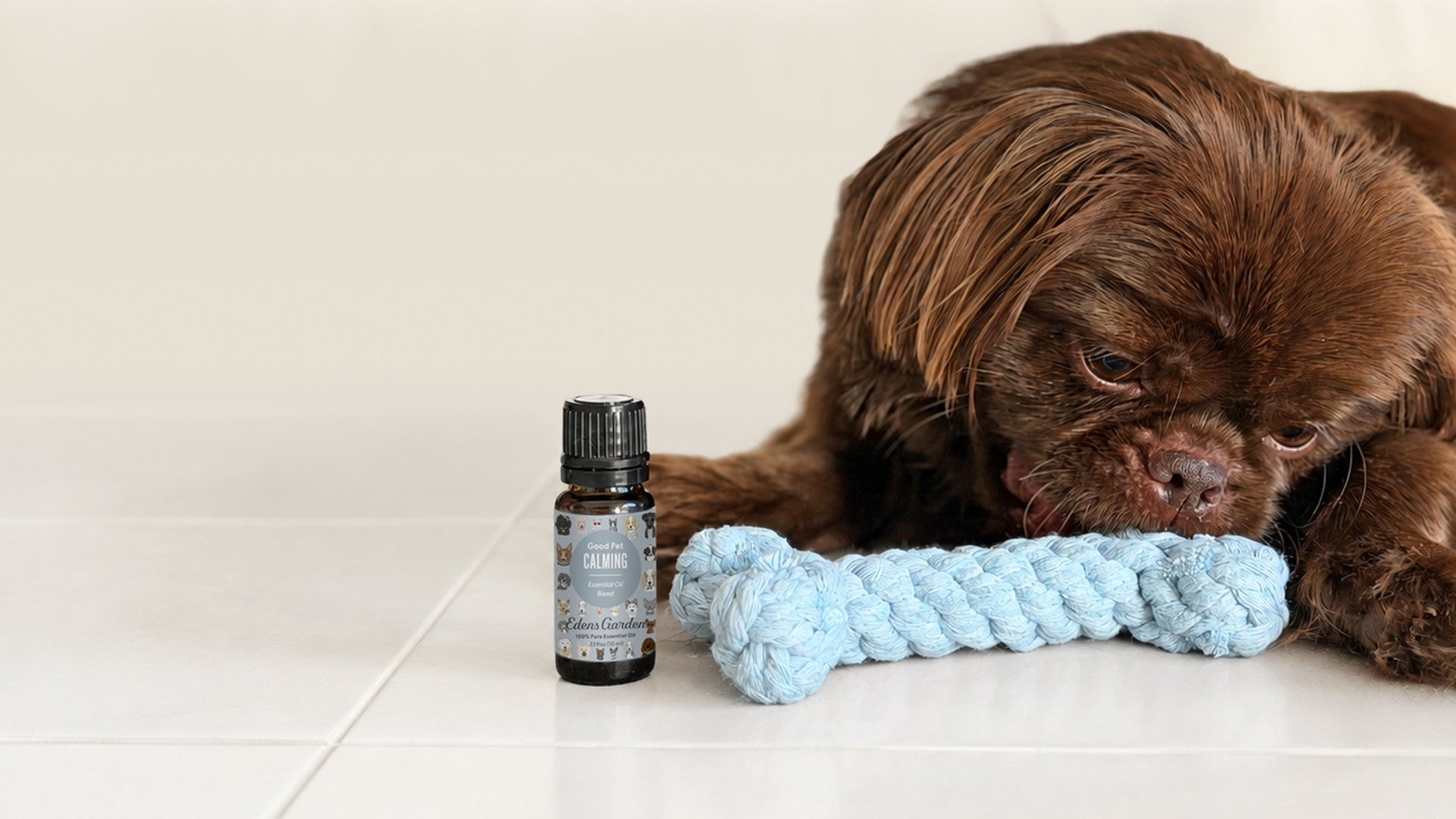 Pet-Safe Aromatherapy <br>Is Here