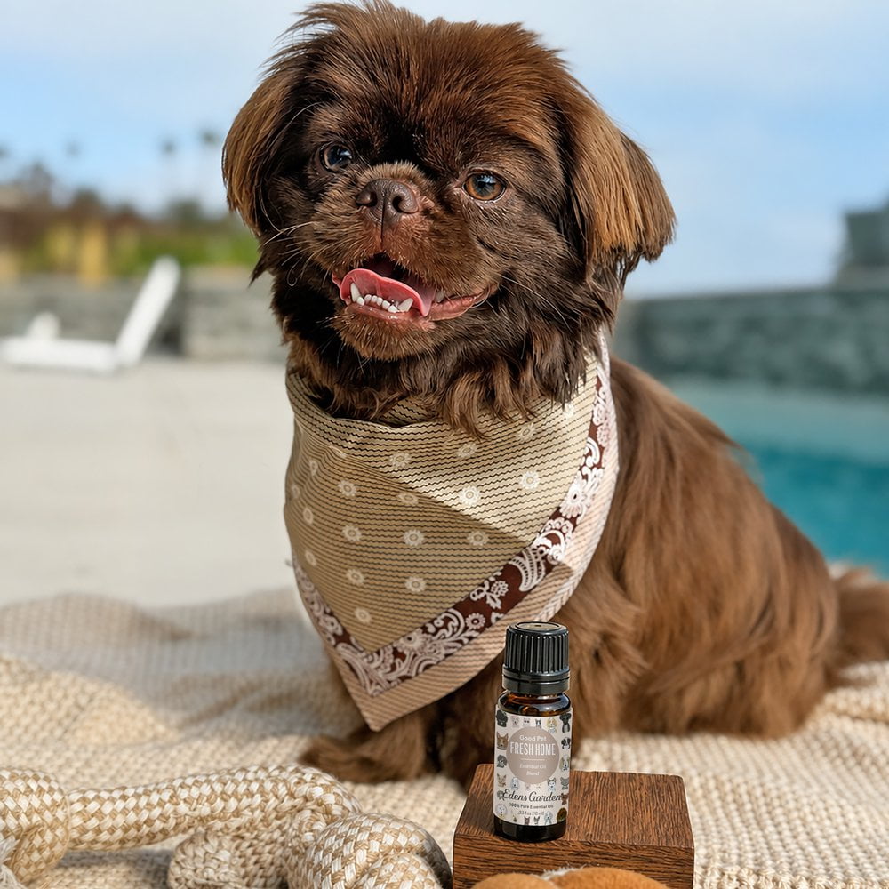 Good Pet Fresh Home Essential Oil Blend beside a dog relaxing outdoors.
