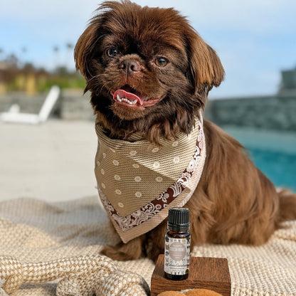 Good Pet Fresh Home Essential Oil Blend beside a dog relaxing outdoors.