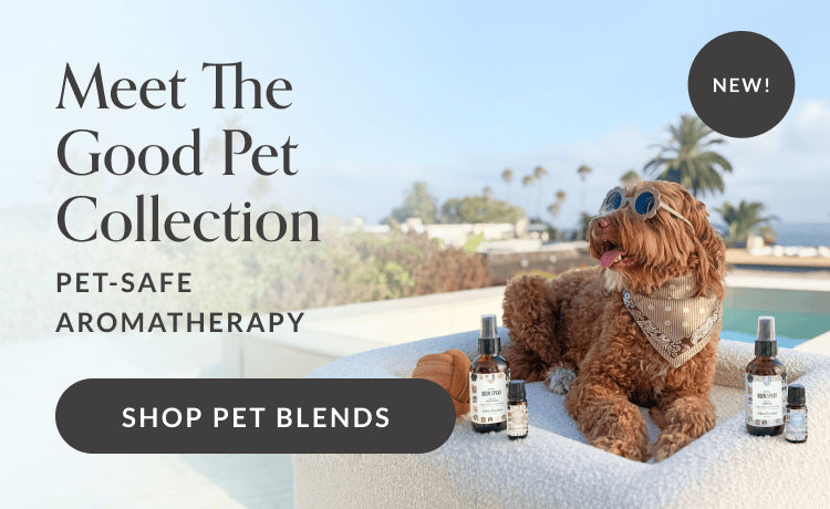 Meet The Good Pet Collection