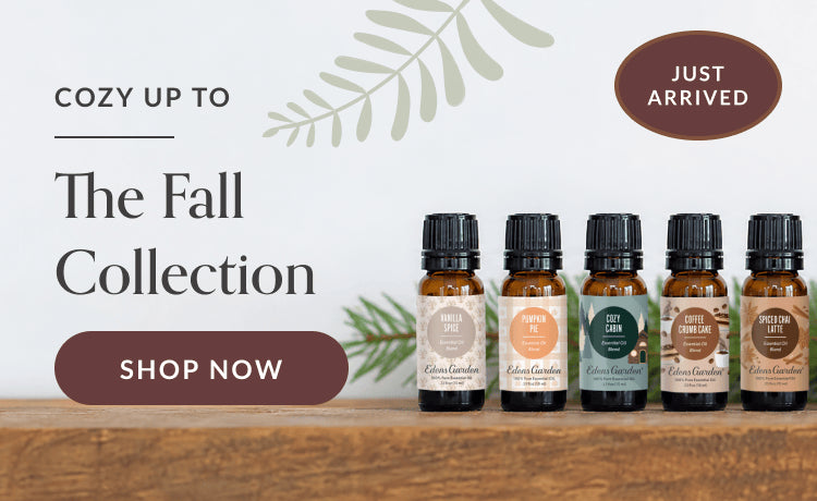 The Fall Collection