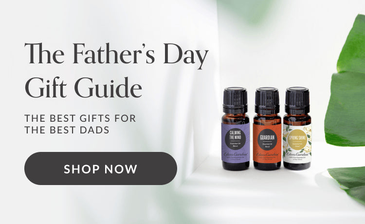 the father's day gift guide