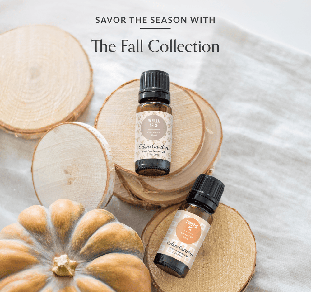 The Fall Collection