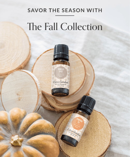 The Fall Collection