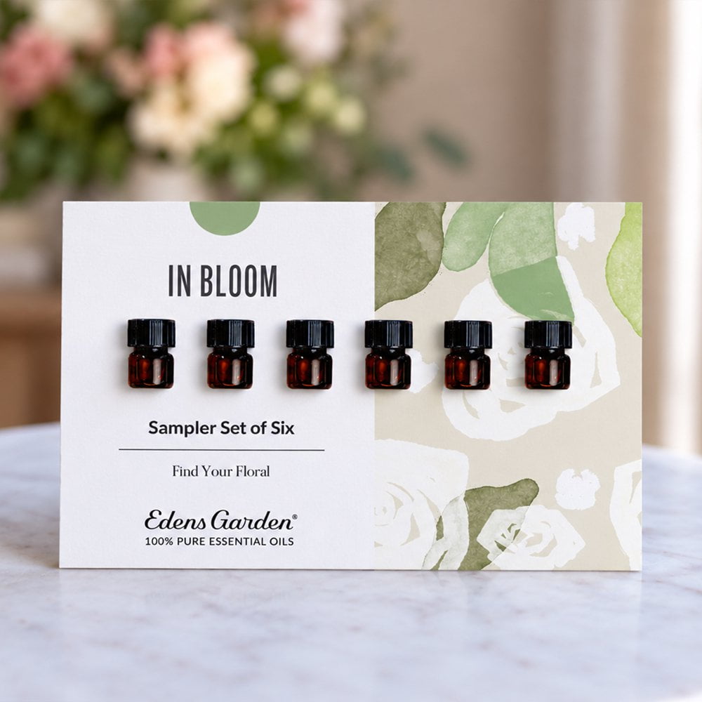 Lifestyle image of In Bloom Discovery Sampler Set of 6