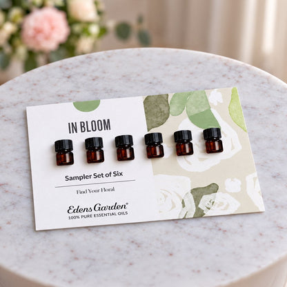 Lifestyle image of In Bloom Discovery Sampler Set of 6