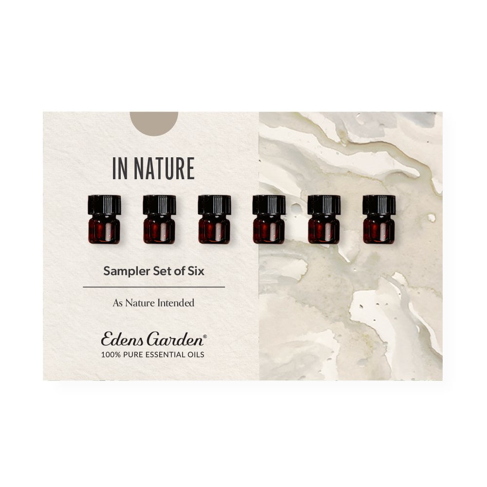 In Nature Discovery Sampler Set of 6