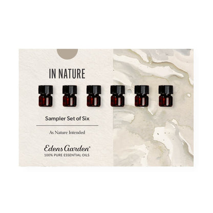 In Nature Discovery Sampler Set of 6