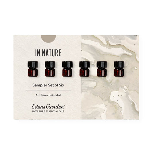 In Nature Discovery Sampler Set of 6