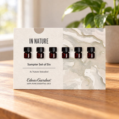 In Nature Discovery Sampler Set of 6 lifestyle image