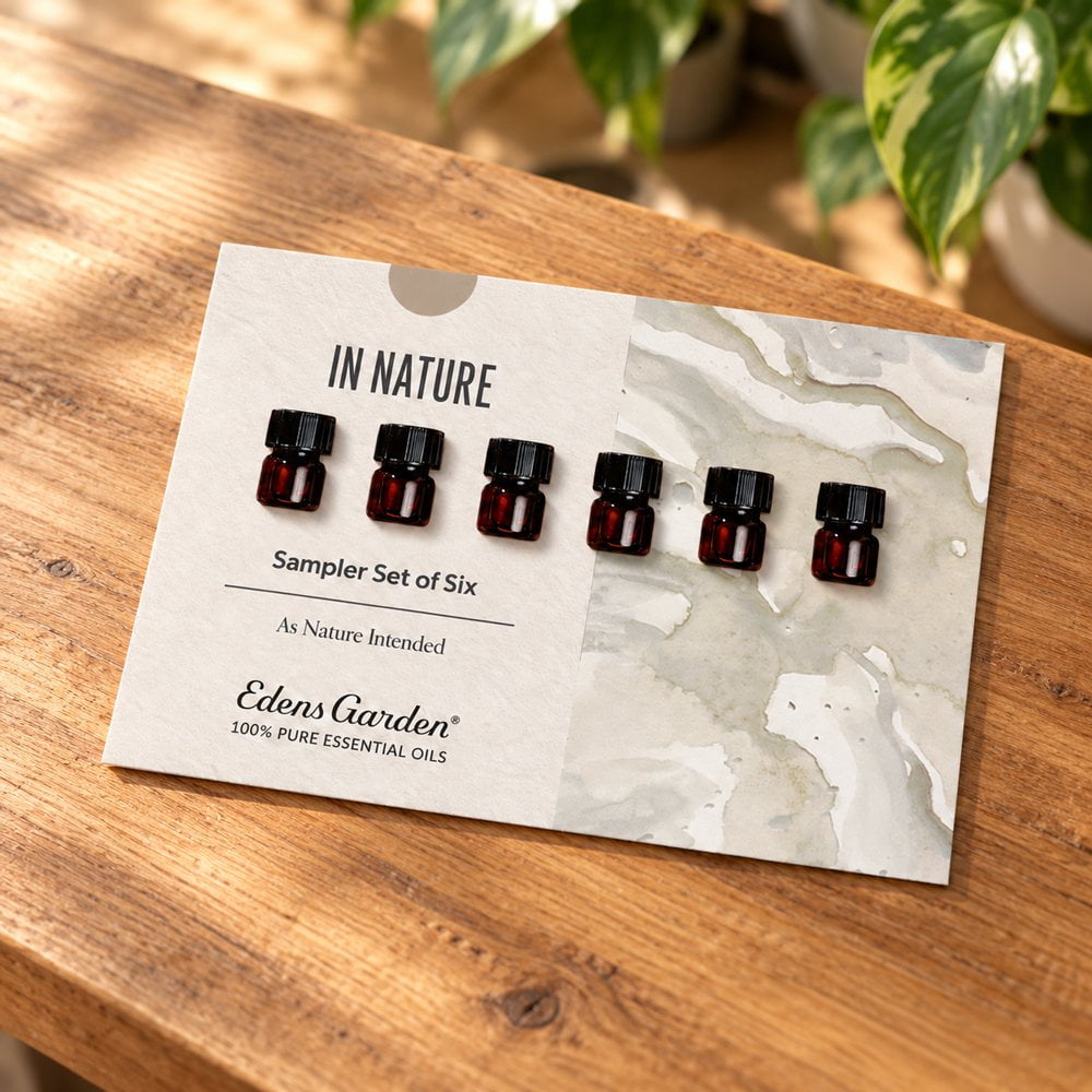 In Nature Discovery Sampler Set of 6 lifestyle image