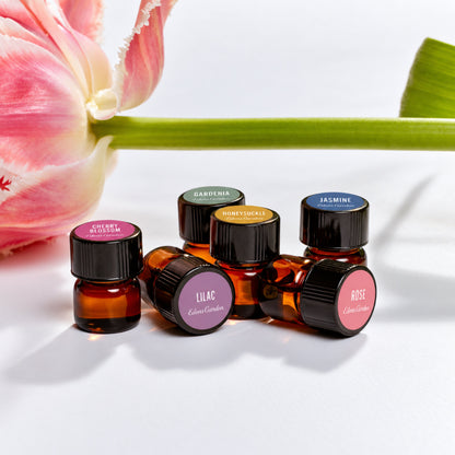 Six sample-size amber glass essential oil bottles with black caps and round colored labels are arranged on a white surface. A pink tulip flower and green stem stretch across the background.