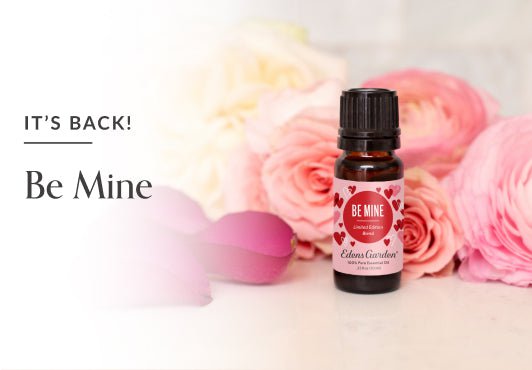 Lavender Essential Oil 3 Set