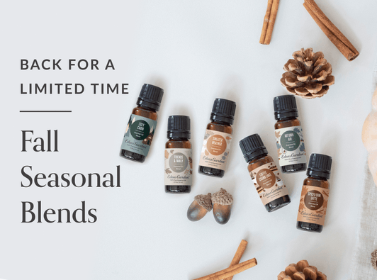 Anxiety Ease Essential Oil Blend- For Calming Restless Nerves & Racing Thoughts