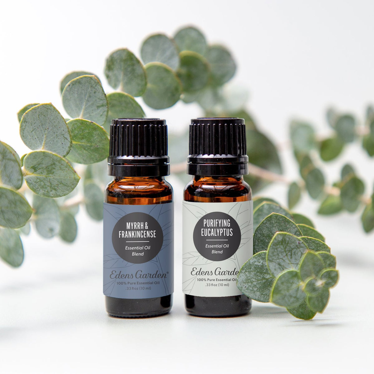 Myrrh & Frankincense and Purifying Eucalyptus essential oil blend bottles among eucalyptus leaves