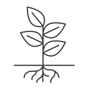 PLANT & HARVEST icon