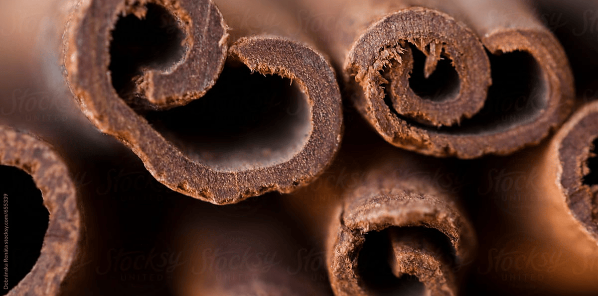 Macro close-up of several cinnamon sticks with curled brown bark, shown in sharp detail against a blurred warm brown background. Faint Stocksy watermark text is visible across the photo.