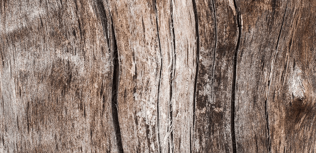 A close-up texture of weathered wood grain with prominent vertical cracks and natural brown and beige tones.