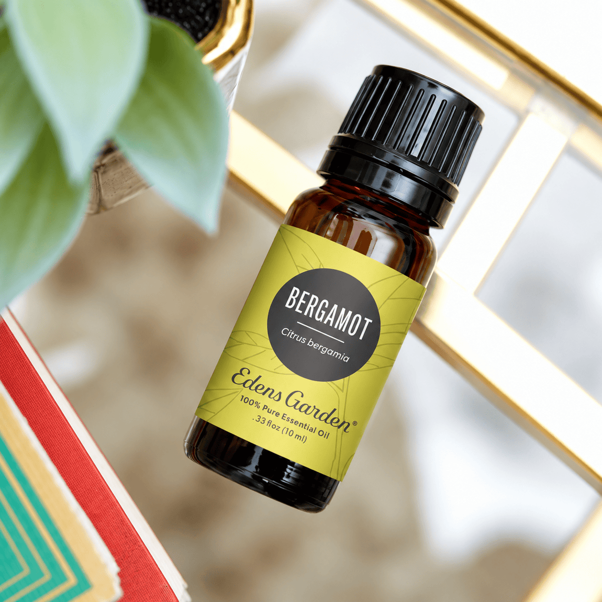 Edens Garden Bergamot 10 ml bottle on a mirrored tray beside books and a succulent.