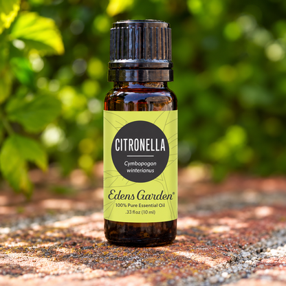 Edens Garden Citronella 10 ml amber bottle on a sunlit brick surface with garden foliage.