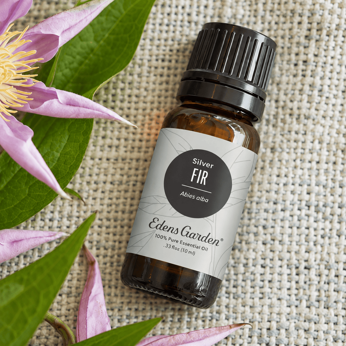 Edens Garden Silver Fir 10 ml amber bottle on textured linen beside purple flowers and green leaves.