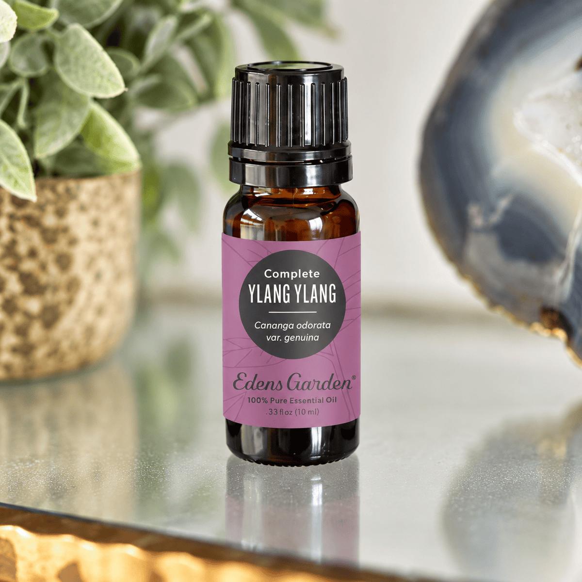 Edens Garden Ylang Ylang Complete 10 ml amber bottle on a mirrored tray beside greenery and stone decor.