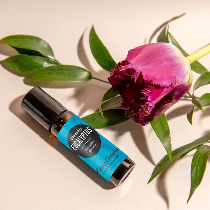 Eucalyptus- Globulus Essential Oil
