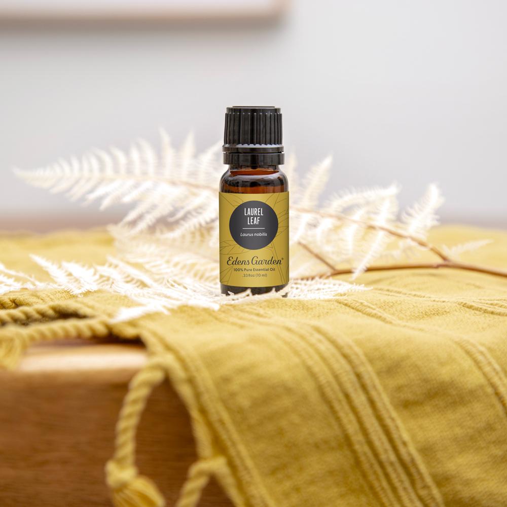 Laurel Leaf Essential Oil