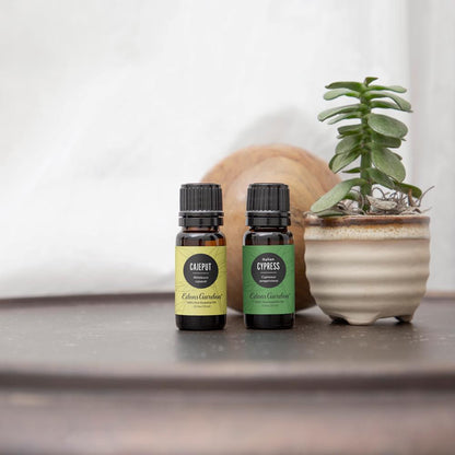 Cajeput Essential Oil