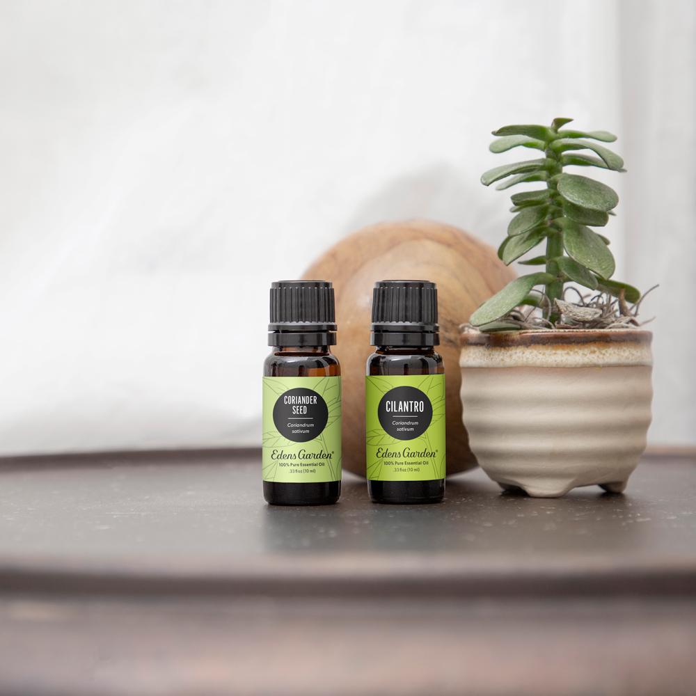 Coriander Seed Essential Oil